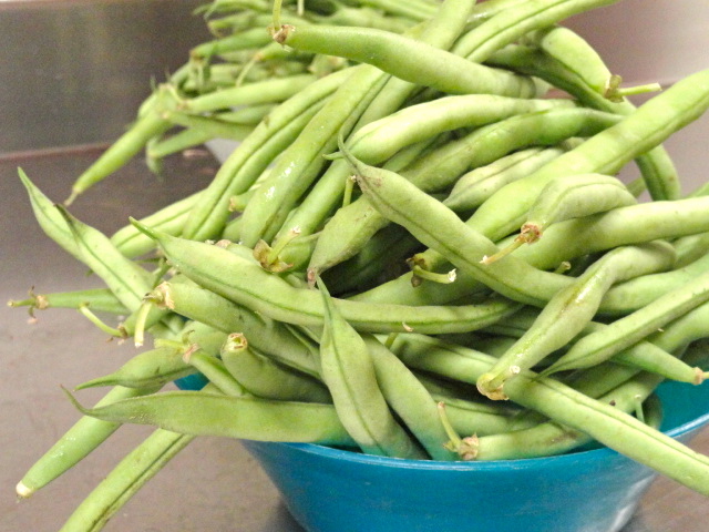 Green Beans