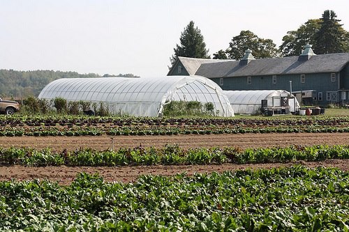 Circle Brook Farm