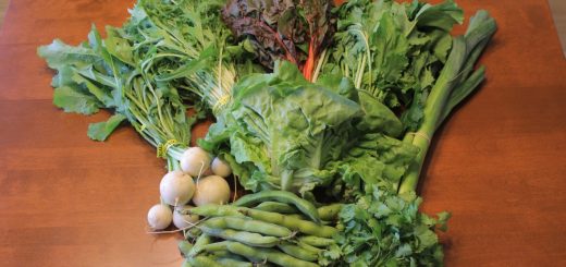 Veggies ready to be used