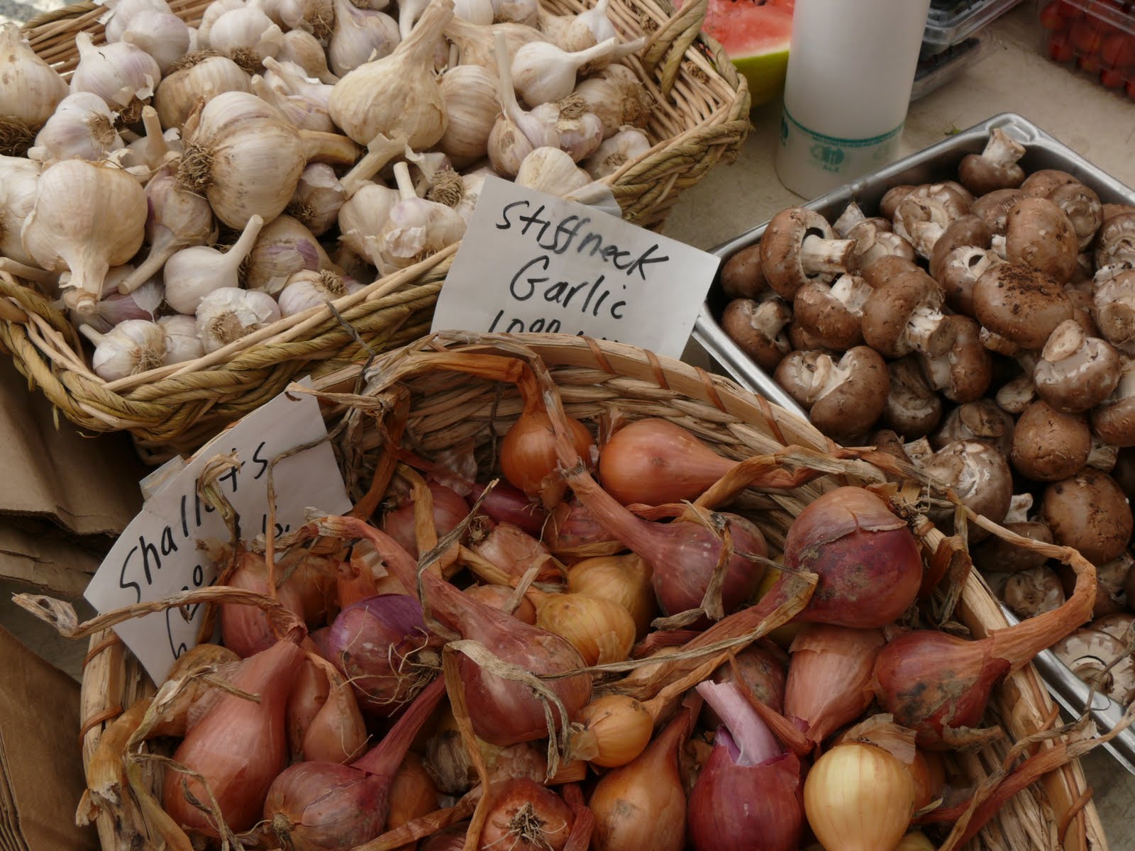 Garlic and Shallots