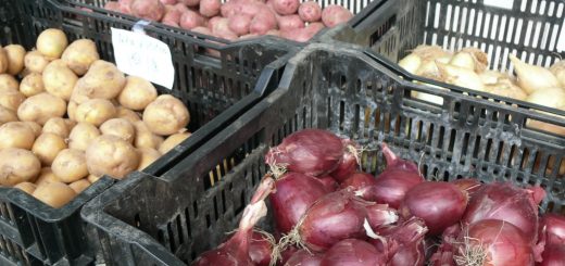 Potatoes and Onions for pickup