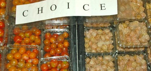 Tomatoes and Ground Cherries