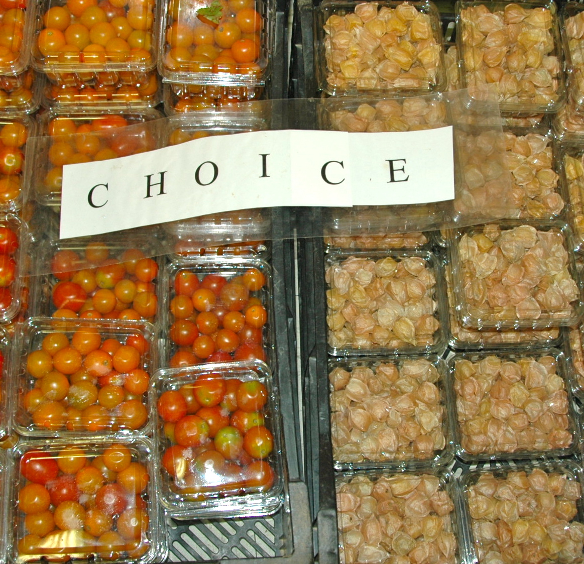 Tomatoes and Ground Cherries