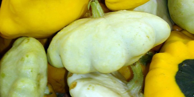 Pattypan Squash