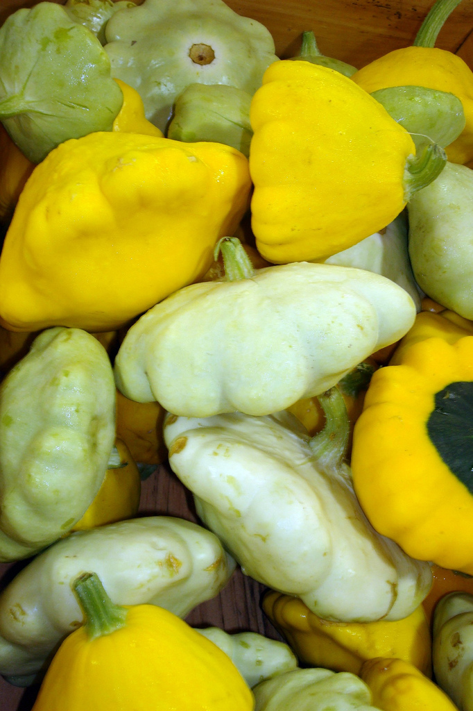 pattypan squash