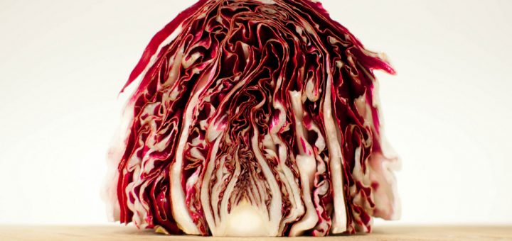 Radicchio