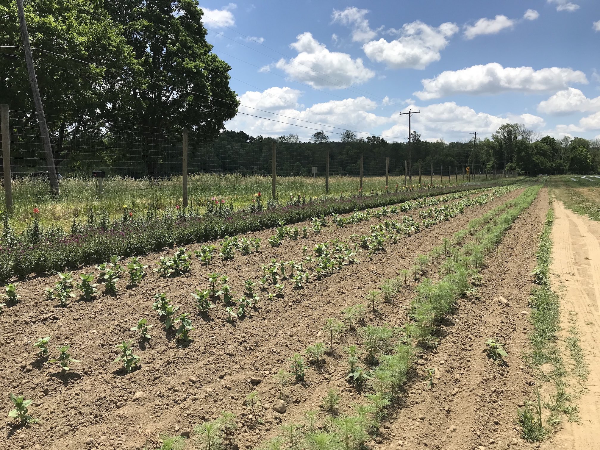 Circle Brook Farm