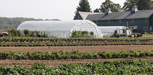 Circle Brook Farm