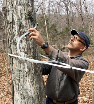 Joey Russo, Green Mountain Maple Sugar Refinery