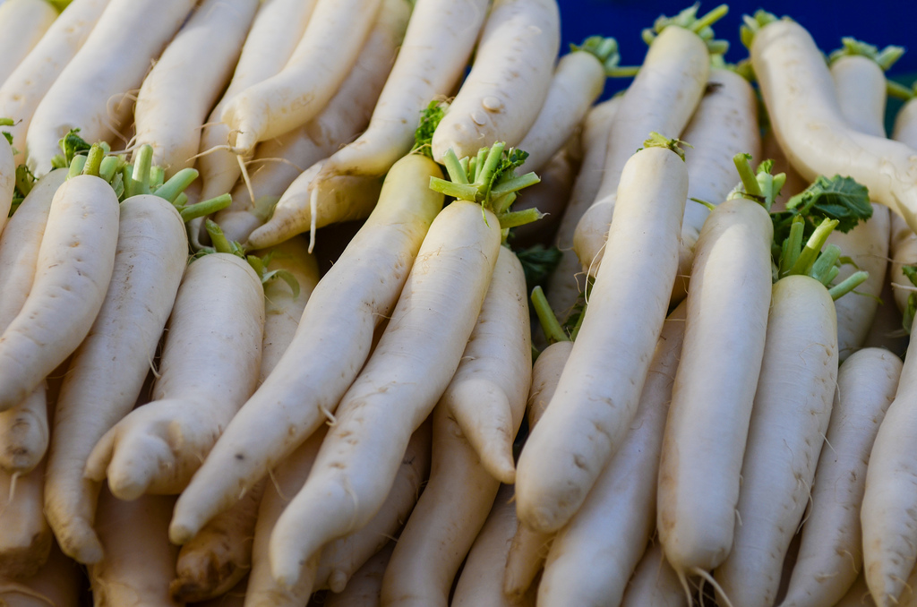 Daikon Radish