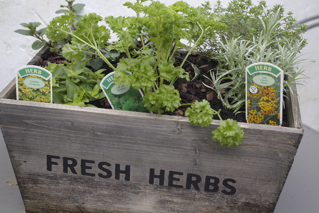 Fresh Herbs