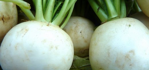 Hakurei turnips