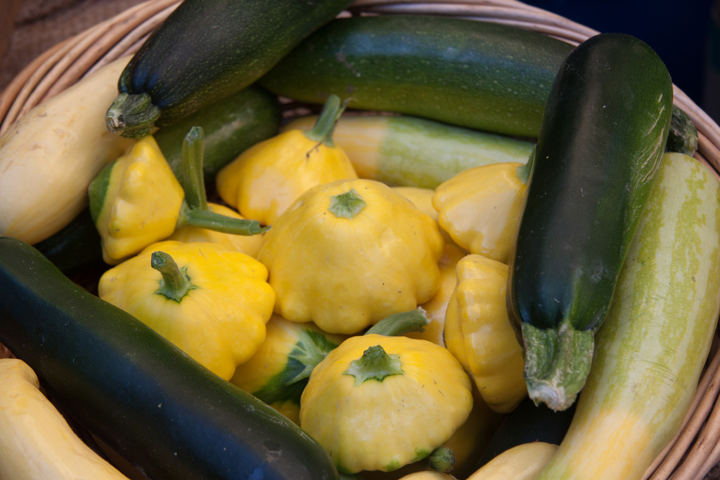 Summer Squash