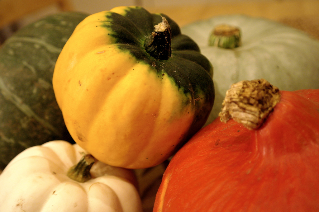 Squash & Pumpkin