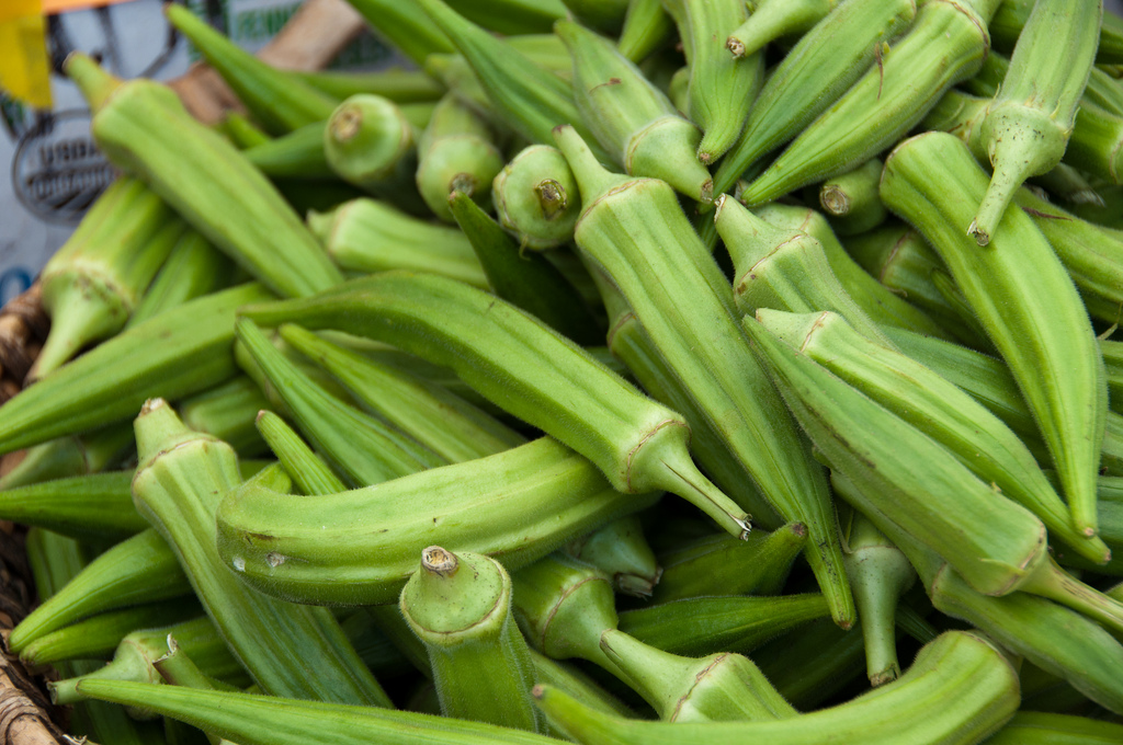 Okra