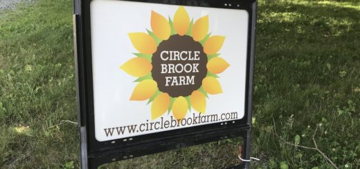 Circle Brook Farm